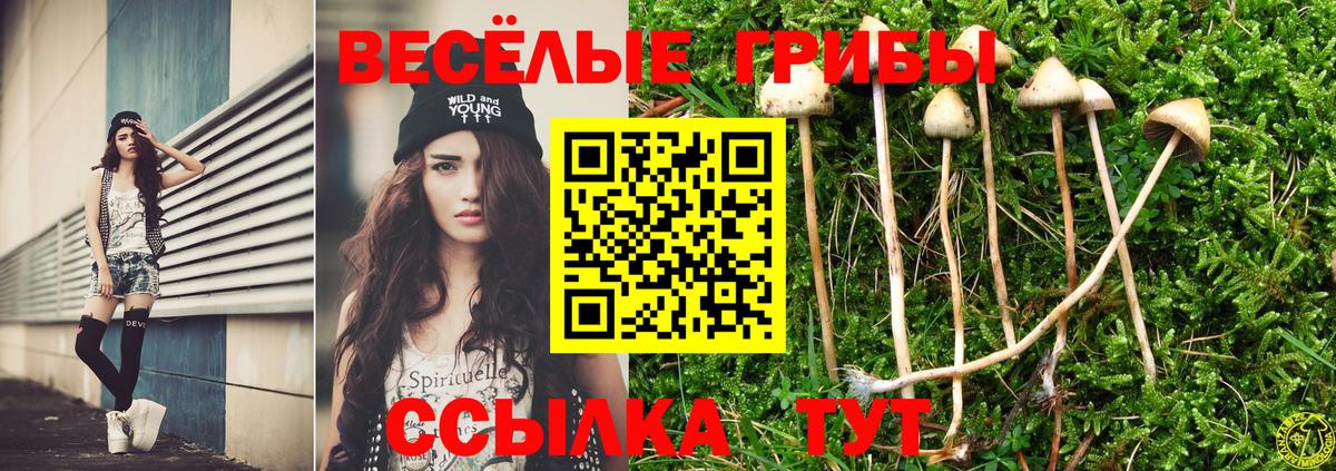 Керчь  Галлюциногенные грибы прущие грибы  Вход с VPN 